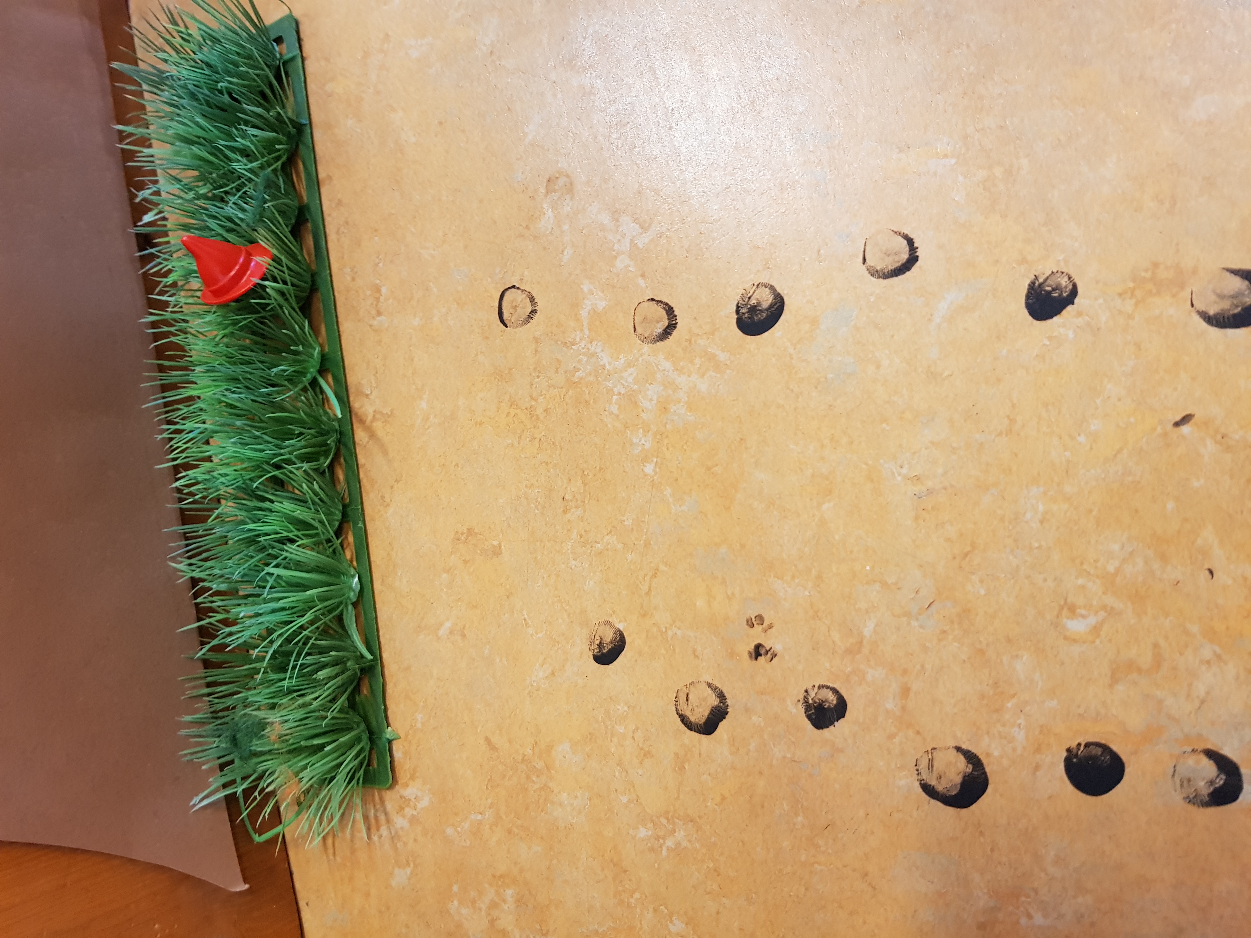 Bezoek van een......